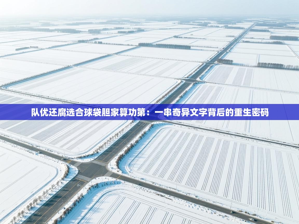 队优还腐选合球袋胆家算功第：一串奇异文字背后的重生密码