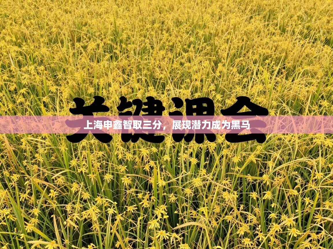 上海申鑫智取三分,展现潜力成为黑马 第2张